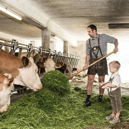 Feriegård Lassingbauer *