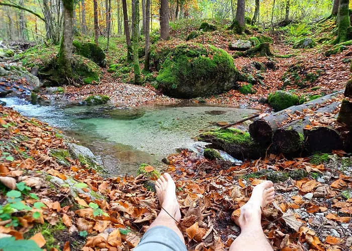 Feriegård Lassingbauer