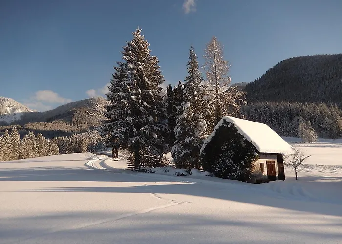 Farm stay Lassingbauer *