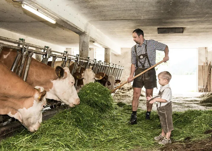 Farm stay Lassingbauer *