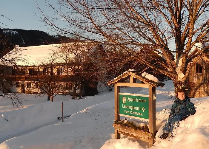 Lassingbauer Farm stay *