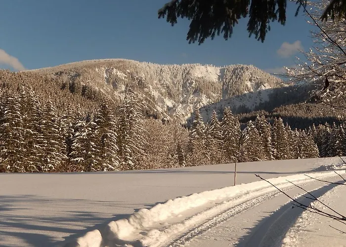 Lassingbauer * Lassing (Mostviertel)